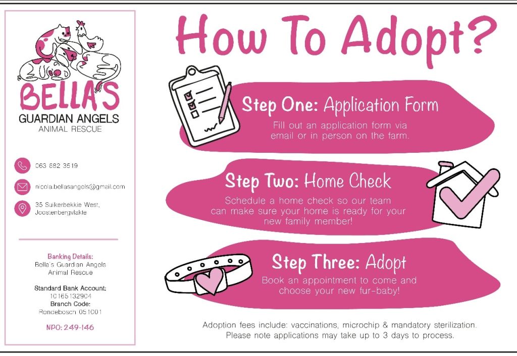 Bella’s Guardian Angels – Animal Rescue | Makhro