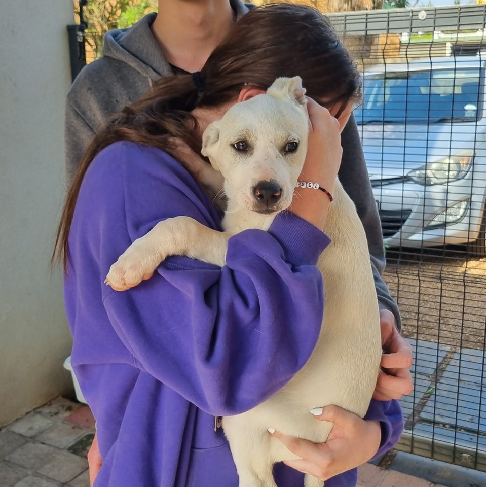 Bella’s Guardian Angels – Animal Rescue | Makhro